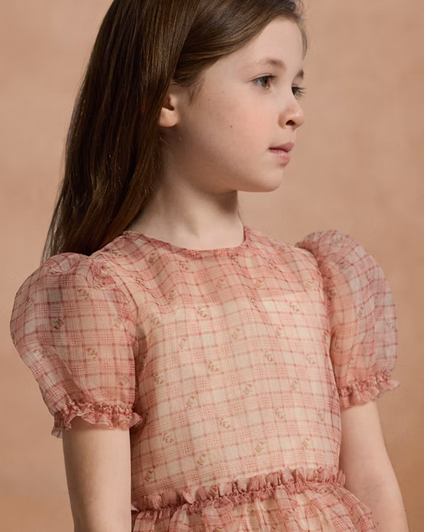 Floral Plaid Organza Dress