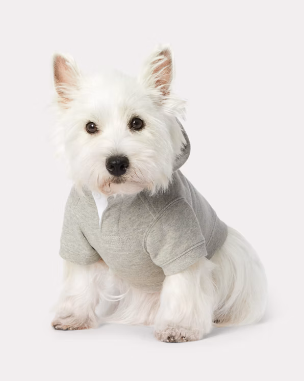 Polo Bear Fleece Dog Hoodie