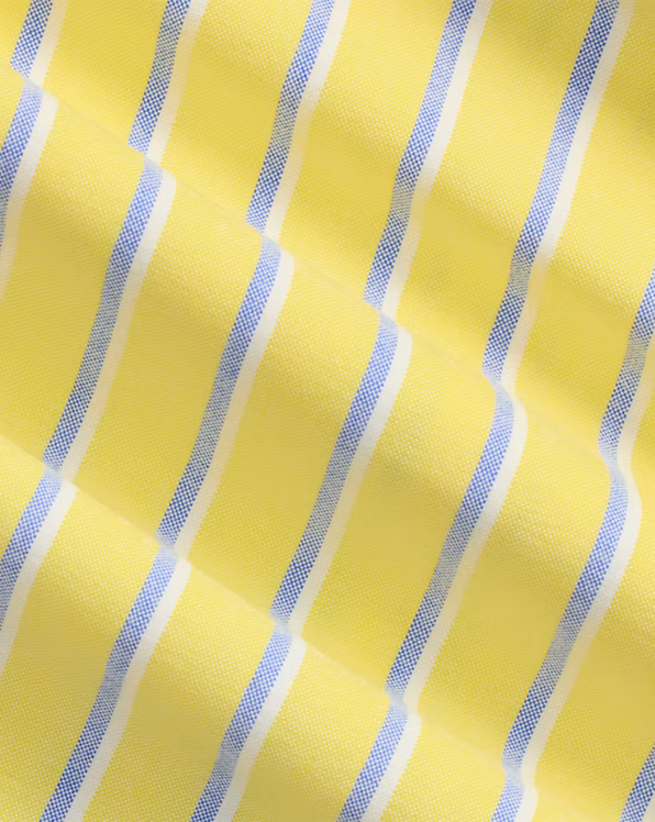 Custom Fit Striped Oxford Shirt
