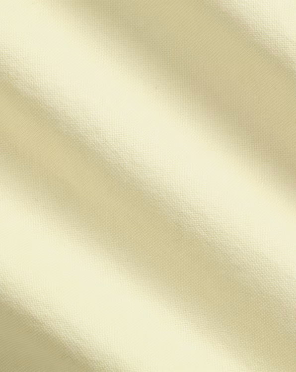 Custom Fit Mineral-Dyed Oxford Shirt