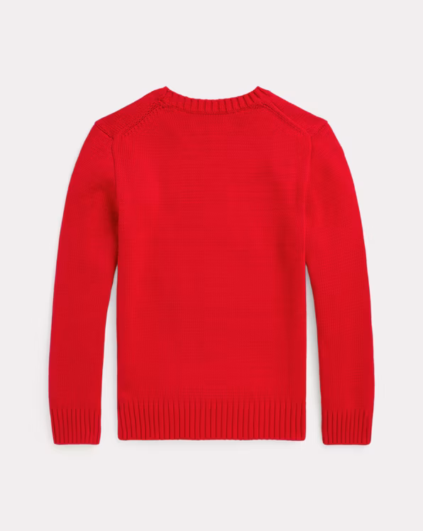 Lunar New Year Polo Bear Jumper