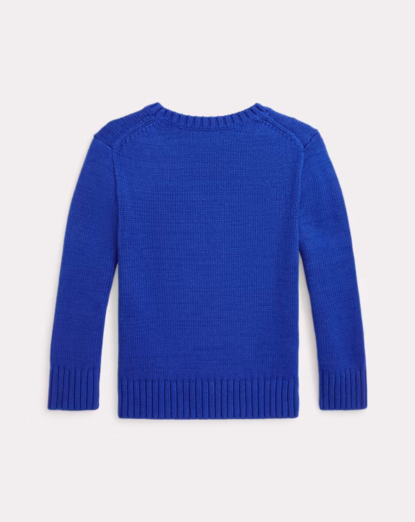 Polo Bear Cotton Jumper