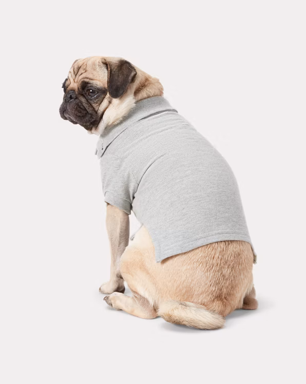 Cotton Mesh Dog Polo Shirt