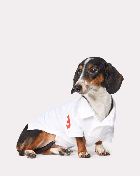 Big Pony Cotton Mesh Dog Polo Shirt