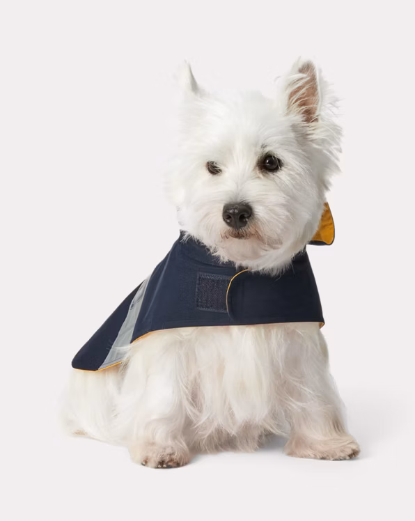 Canvas Logo Dog Raincoat