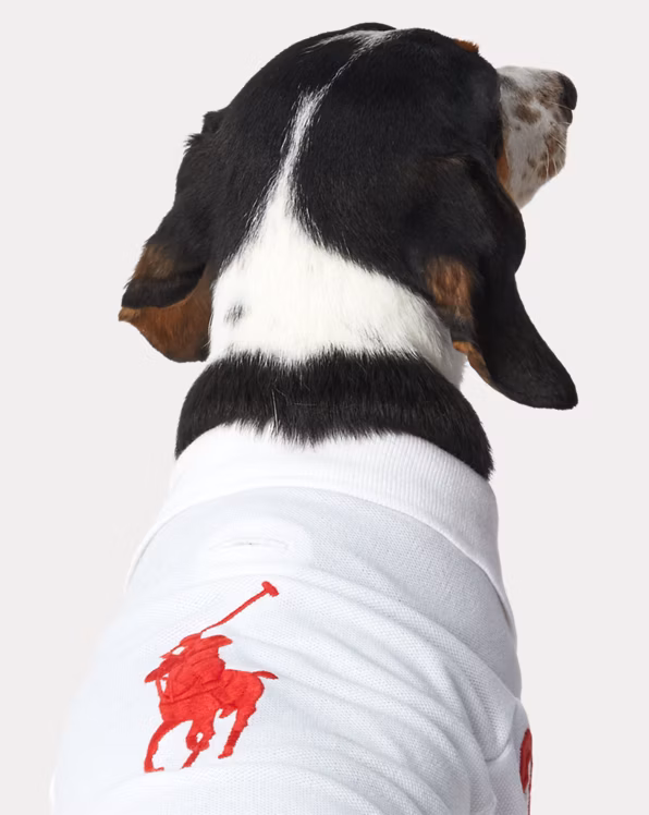 Big Pony Cotton Mesh Dog Polo Shirt