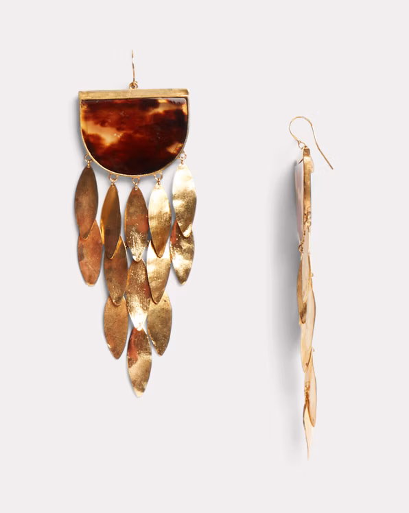 Resin & Brass Earrings