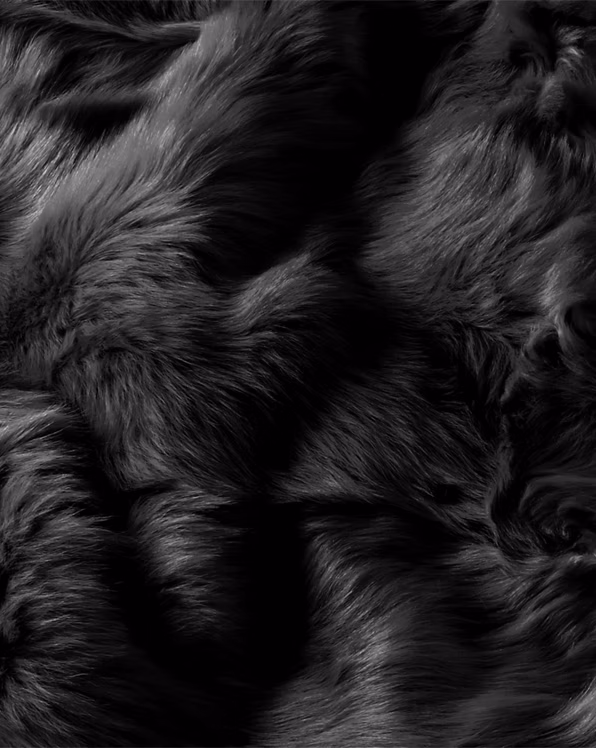 Brighton Throw Blanket