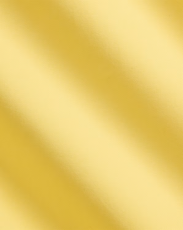 Custom Fit Twill Shirt