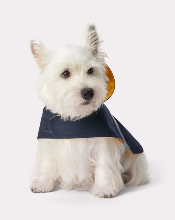 Canvas Logo Dog Raincoat