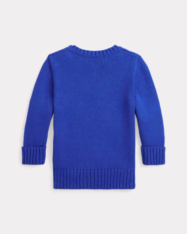 Polo Bear Cotton Jumper