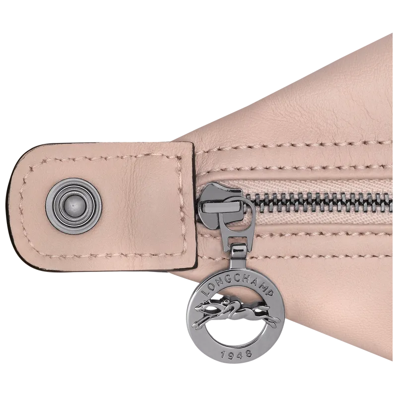 Le Pliage Xtra XS Handbag