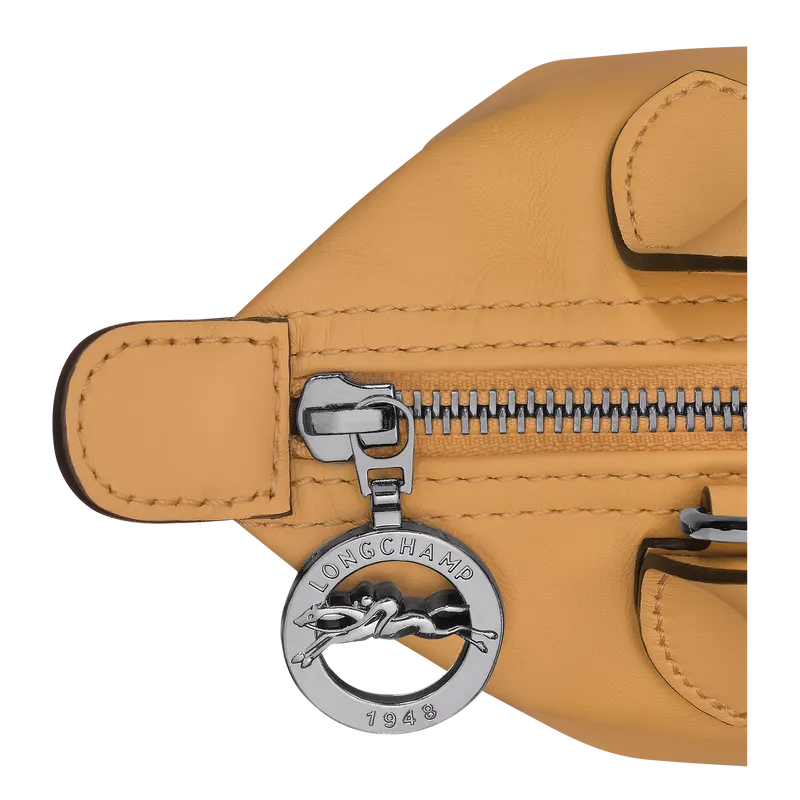 Le Pliage Xtra XS Handbag